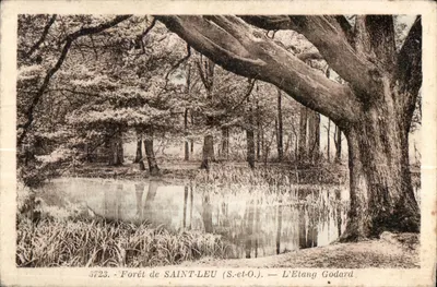 Floresta de SAINT-LEU (S.-et-O.) — O Lago Godard