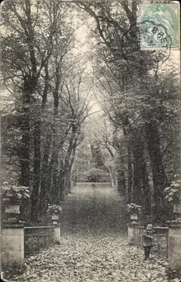 Allis-Ady — Avenida do parque conduzindo ao castelo — Imp. La Photo, Cholsey-le-Rol.