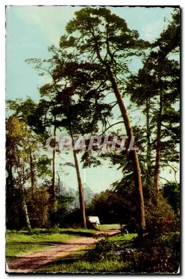 Milly-la-Forêt — Floresta — Edição de Arte Rameau, S.O.O.