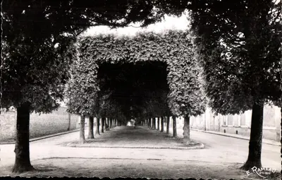Avenida arborizada com entrelaçamento em Étampes — E. Rameau, Étampes