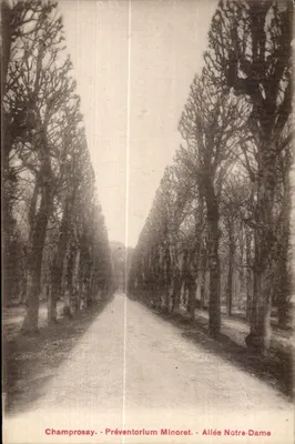 Champrosay - Preventório Minoret - Avenida Notre-Dame