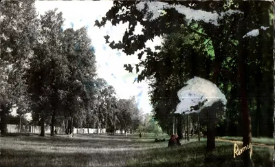 Bilhete postal antigo Imagens da França Montgeron (S e O) A grande Grama