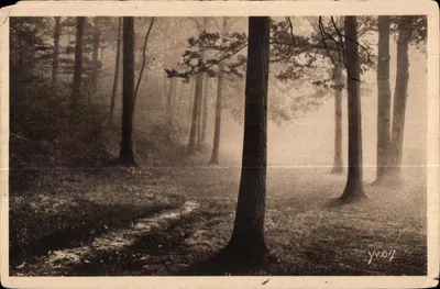 Floresta ao redor do Lago de Villebon — Série Locais e Caminhadas Fora de Paris — Edição de Arte YVON, Paris