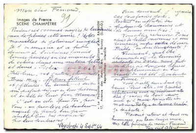 Ovelhas pastando em um campo — cena campestre — Raymon, n°1 — Verso