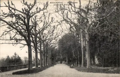 Mirambeau — O Castelo — Avenidas dos Plátanos — Renand, edição em Mirambeau (Ch.-Inf.)