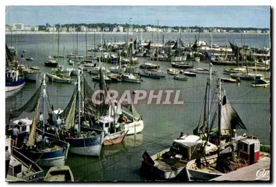 Port de Royan — vue des bateaux — Lumicap