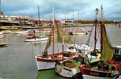 Port de Saint-Palais-sur-Mer — vue des bateaux de pêche — Éditeur Elée