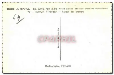Retorno aos campos — Território Pirenéu — Ed. JOVE, Pau (B.P.) — Verso