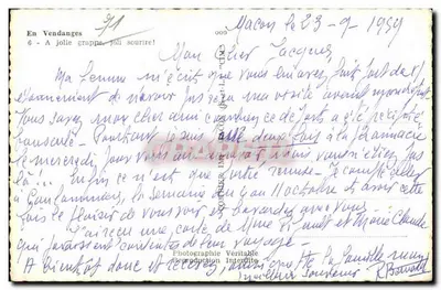Kobieta zbierająca winogrona — scena z winorośli — wydawca 'Crim' nr 6 — Rewers