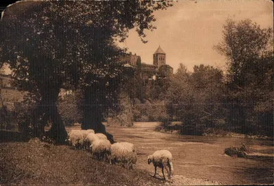 Ovelhas perto de um curso d'água — castelo no fundo — Les Beaux Sites des Pyrénées, Sauveterre-de-Béarn
