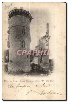 Mébun-sur-Yèvre — Antigo Castelo de Carlos VII — ND Pbot