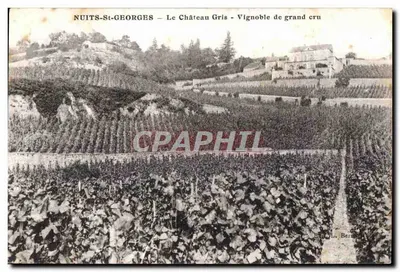 Nuits-Saint-Georges — O Castelo Cinza — Vignoble de grand cru — Editor L. Bernat