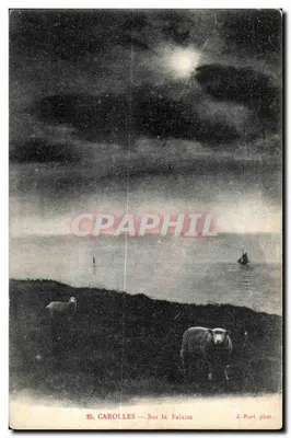 कारोल्स — सूरज के ऊपर — जे. प्यूल फोटो.