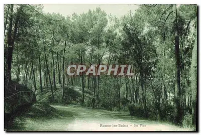 Ronce-les-Bains — Sua Pinheira