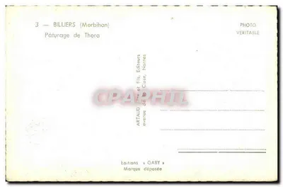 Pâturage de Thora — Billiers (Morbihan) — Edições Gaby — Verso