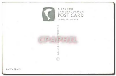 The New Forest — cavalos na floresta — J. Salmon Cameracolour — Verso