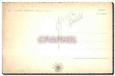 Grands Koudous — Fauna Africana — Livraria Constantin — Verso