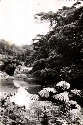 Mayombe — paisagem da ferrovia Congo-Océan — La Arte Africaine, n°36
