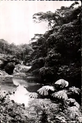 Paisagem do Mayombe — percurso da ferrovia Congo-Océan — editor LA CARTE AFRICAINE, n°36