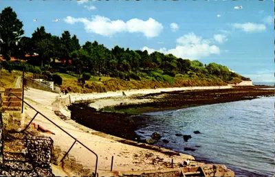 Newton's Cove — vista costeira — Publicado por D. Constance Limited, Littlehampton, Sussex