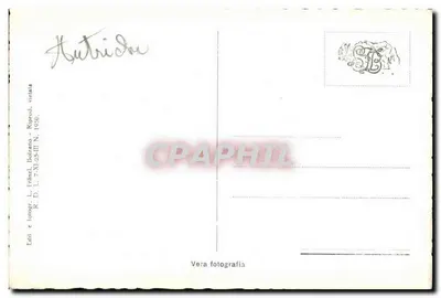 Merano — Zamek Tirolo m. 639 — panoramiczny widok z winnikiem na pierwszym planie — Rewers