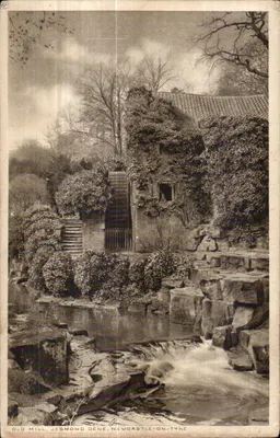 Velho Moinho, Jesmond Dene, Newcastle-on-Tyne — vista do moinho antigo cercado por vegetação e um curso d'água — n° A86