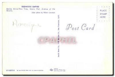 Drzewo święte — Przejazd przez cedr — Smith News Co. DT-92072-B — Rewers