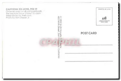 California, leones marinos en Pier 39 — Lawson Mardon Post Card — Reverso