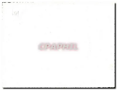 Vista de falésias costeiras — Anotada 'BATZ' e 'Ano 1956' — Verso