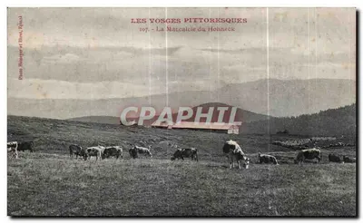 Les Vosges pittoresques — La Marcaicie du Hohneck — Photo Houmayer et Ehré, Epinal, n°107