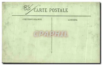 VITTEL — Wille Angielskie — LL — Rewers