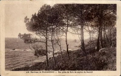 Arredores de PLOUGASNCU — Vista tirada do Bosque de pinheiros do Guerzit — n° 426