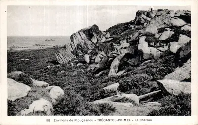 Arredores de Plougasnou - Trégastel-Primel - O Castelo — Bilhete postal antigo n°103