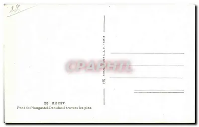 Most Plougasatel-Daoulas — przez sosny — wydawca A.P. n°25 — Rewers