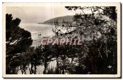 Praia de Plougasnou — vista dos pinheiros — editor C.A.P. n° (50)