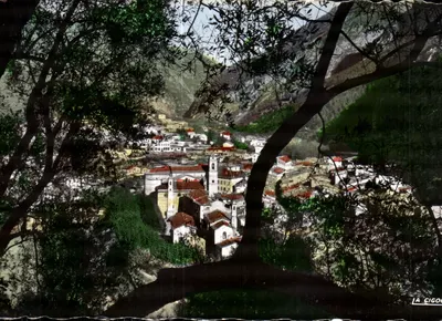 La Cigou — Vista geral através dos oliveiros — Fotógrafo Vénitiable