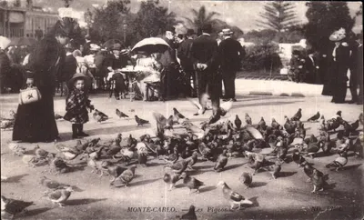 Monte-Carlo — Os Pombos — ND Fot.
