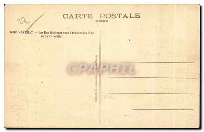 Le Isole Béniguet viste attraverso i Pini della Citadella — Bréhat — Verso