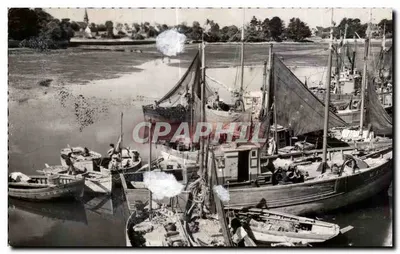 CPA Loctudy Un Coin du port a maree basse Bateau de peche