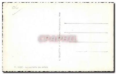 Nice - A colheita dos crisântemos — L. Gilletta, Nice — Verso