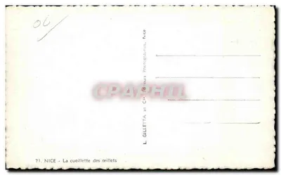 Nizza — La raccolta di garofani — L. Gilletta, Nizza — Verso