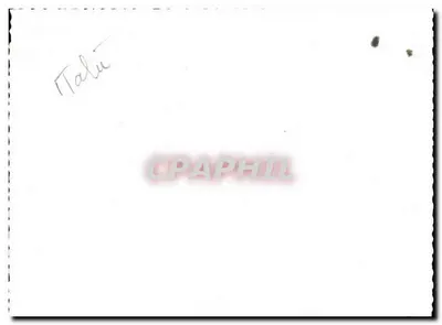 Jardins dos Borroméus — Ilha Bella — Anos 1949 — Editor desconhecido — Verso
