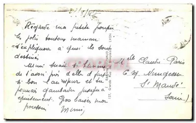 Jeunes Chiens du St Bernard — wydawca anonimowy, nr 1364 — Rewers