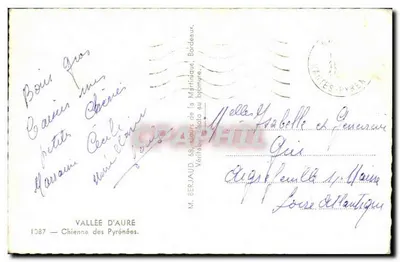 Cão de montanha — Vale de Aure — M. Berjaud, Vale de Aure — Verso