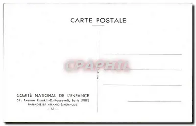 Pássaro exótico — ilustração naturalista — Comité National de l'Enfance, Paris — Verso