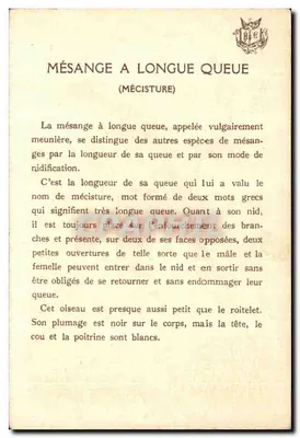Mieszkańczyk z długim ogonem — (Nicisture) — wydawca H.G.C. — Rewers