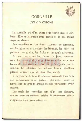 Skrzyp — (Corvus corone) — Wydawnictwo Trach — Rewers