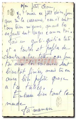 Chiot de race Fox Terrier — photo studio — éditeur 'Syngy' n° (8)115 — Verso