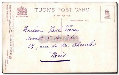 Pies myśliwski — Setter i pętla — Tuck's Post Card n°3219 — Rewers