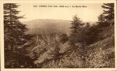 CHRÉA no verão (Alt. 1550 m.) — O Vale Azul — Coll. Bertona